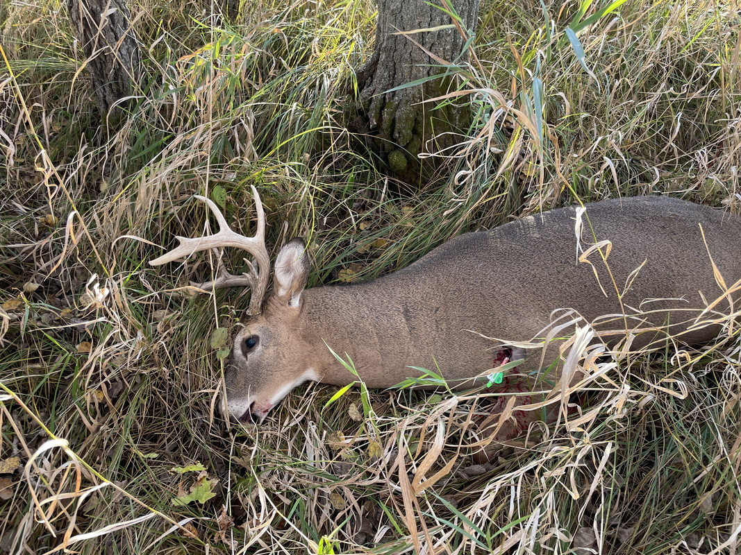 71430963-4A07-4CF2-9864-436CCC6443E1