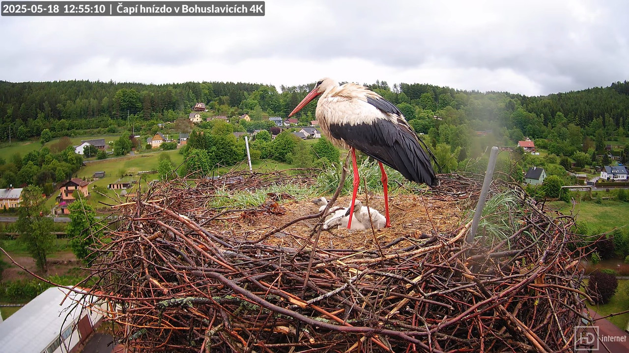 Živě z čapího komína firmy KARA v Bohuslavicích u Trutnova 14-32-4 screenshot