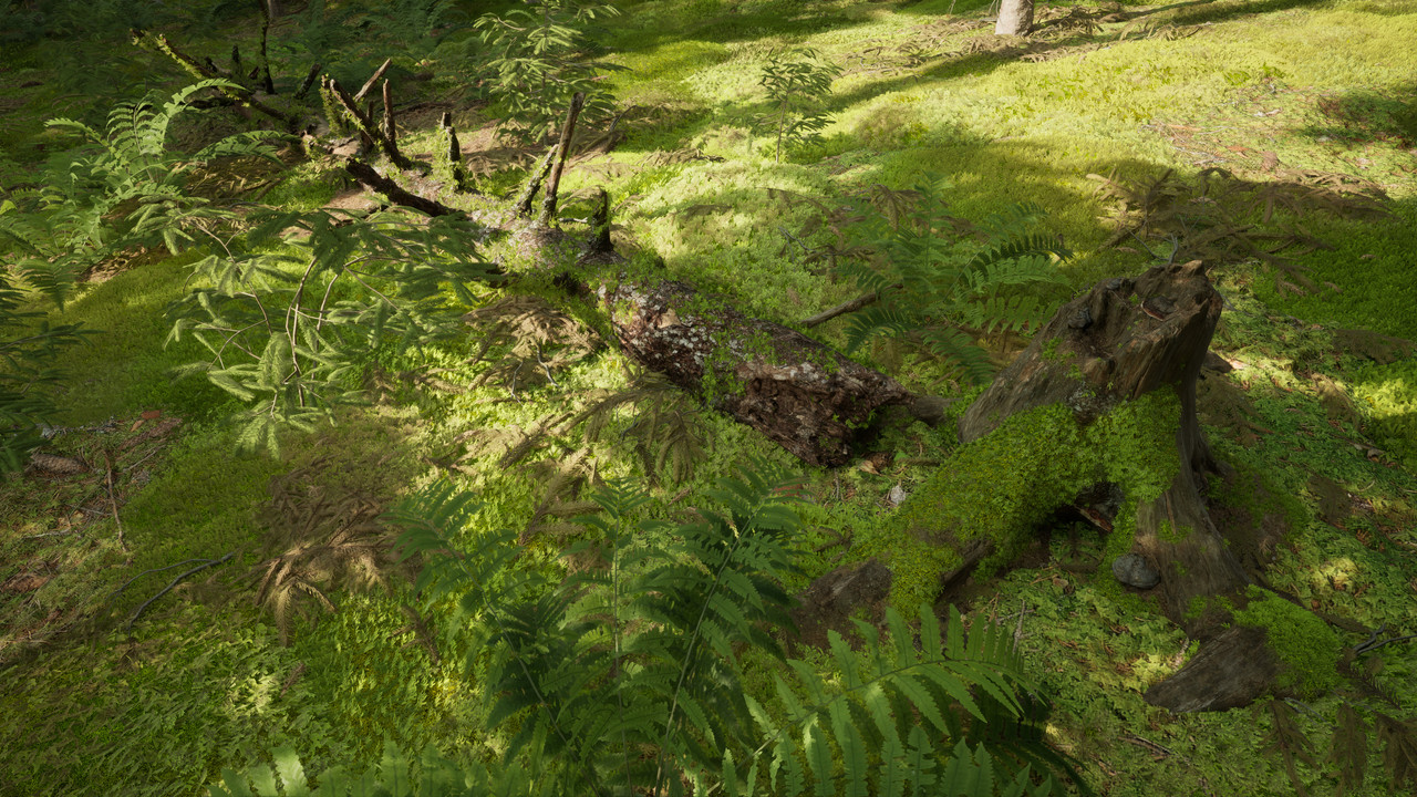 Northern Valley 2025 11 08 01 55 50 743