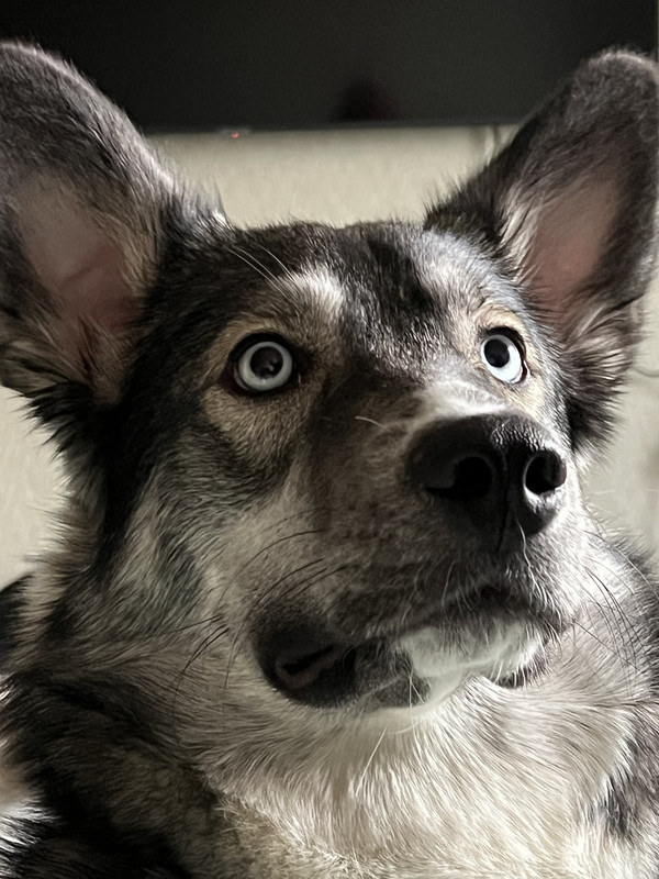 F37C1097-EDB3-4F8B-97E4-9D15492F0874