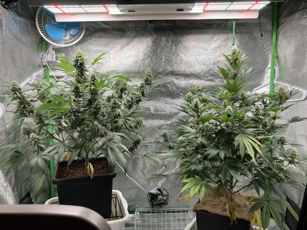 3FA2093C-E14E-4DEB-B64A-4C1677B814DD