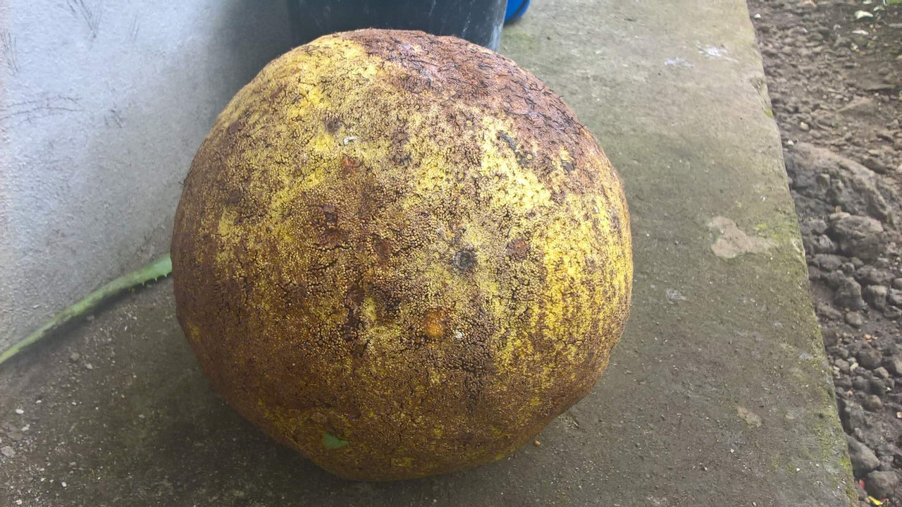 received_289391399394829