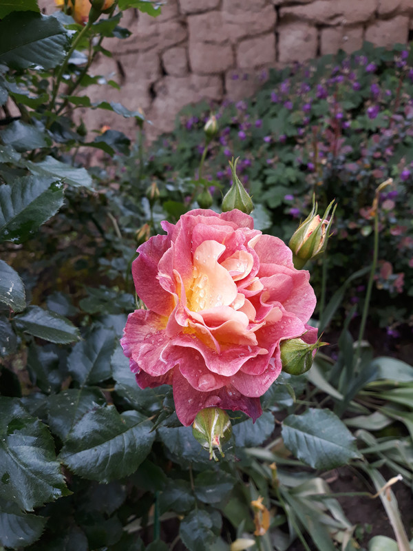 20190601_094030