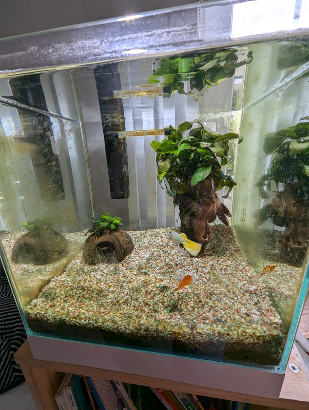 PXL_20240707_174929403