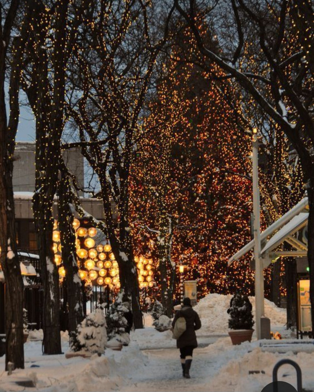 Screenshot_20231005_235445_Pinterest