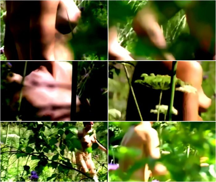 [Image: forest-3.jpg]