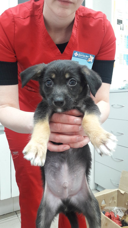 940999A9-A861-4B9A-B1A0-603A9C647440