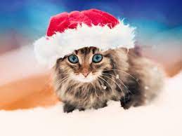 [Image: t-l-chargement.jpg]