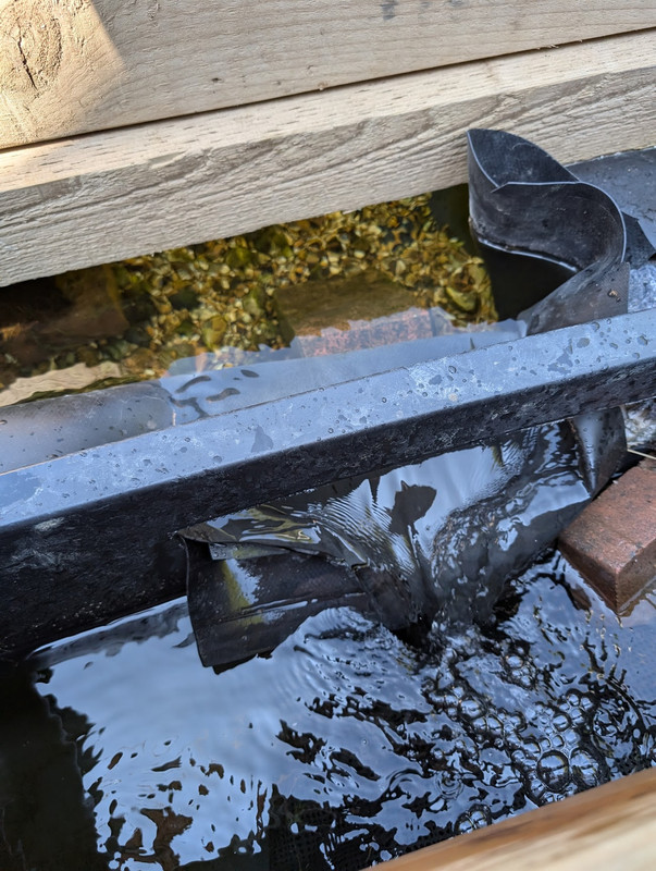 PXL_20240620_094845037