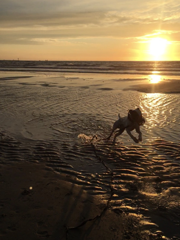 DCBEABF5-AD37-40CC-9A03-BEDBE73710D6