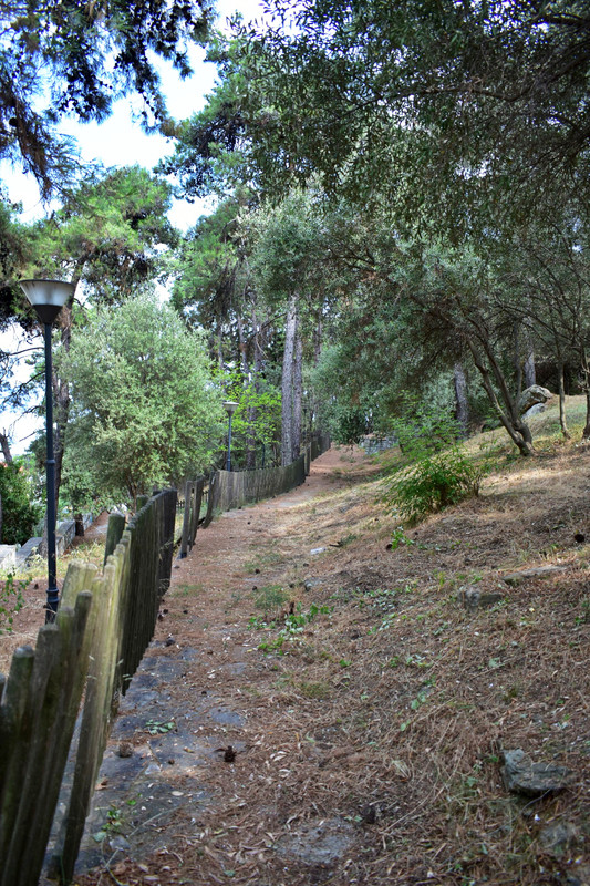 Άλσος της Παναγούδας (13)