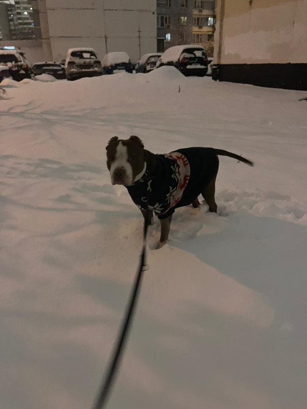 94A12949-2216-4120-BF04-3939846EAD34