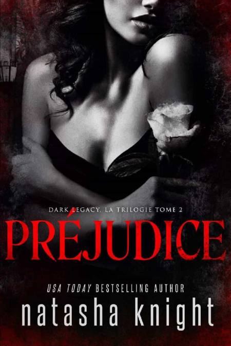 Prejudice-tome-2-Natasha-Knight.jpg?042148