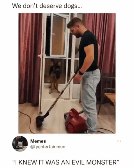 https://i.postimg.cc/dVvP2K2p/1.gif
