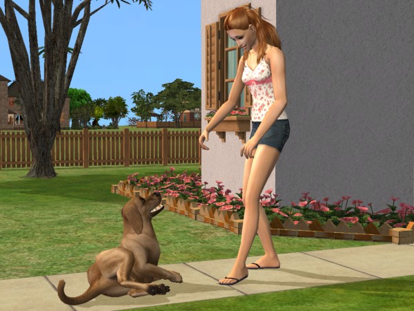 Hellohello: Domy - Stránka 5 Snapshot-c9b5e381-89b60331