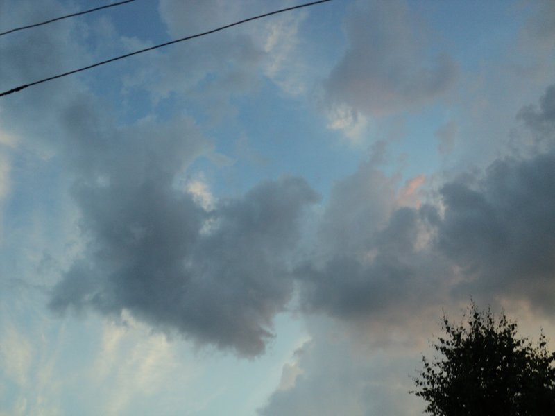 DSC02018