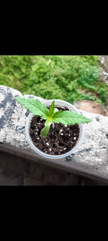 Screenshot_2023-07-31-22-10-12-275_com.google.android.apps.photos