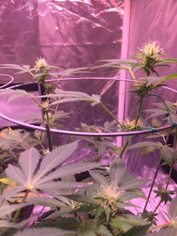 90CF6EA6-C2F7-4ED9-A4FD-47F55910A995