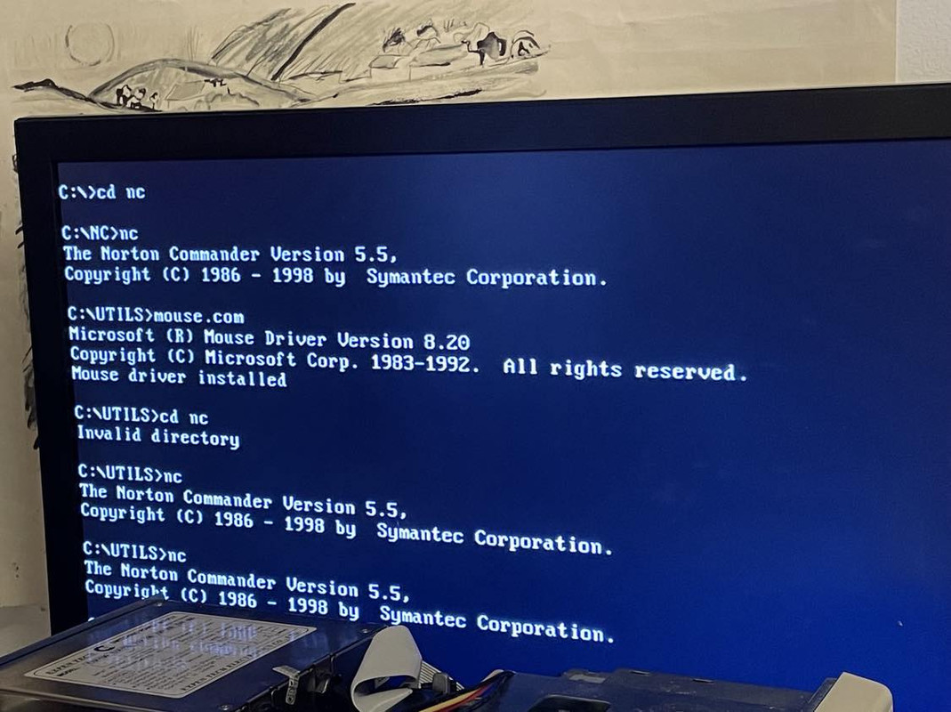 423735932_1449754562287405_8900739105575801710_n