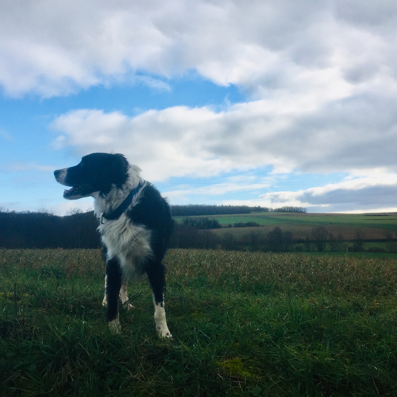 A7785760-9749-4E57-8001-72E0A71D1E0A