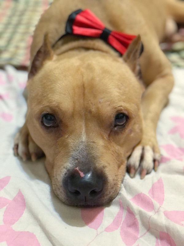 2461566F-AABA-4C39-BE02-61BC9E1CE466