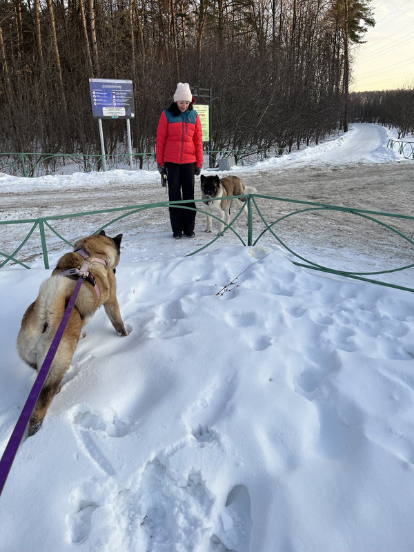 31A6F879-BD46-47BD-A4EC-24D39A7F20E8