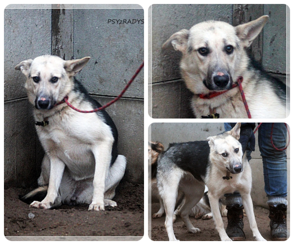 BeFunky-collage (16)