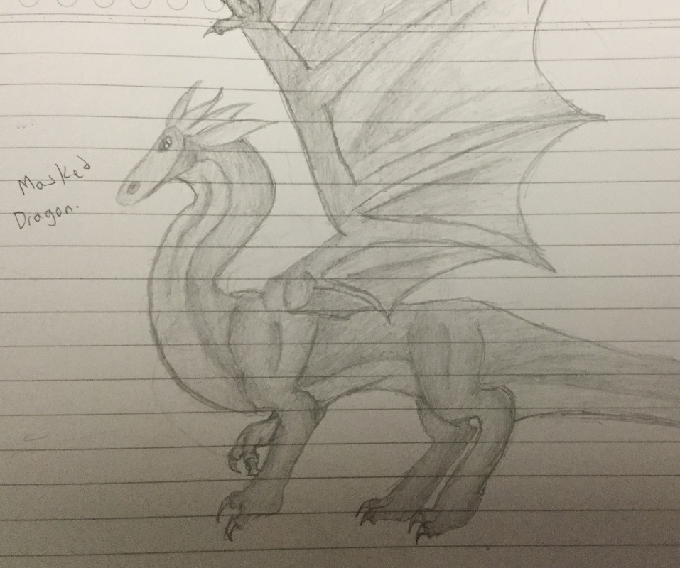 Random dragon sketch Dragon_sketch