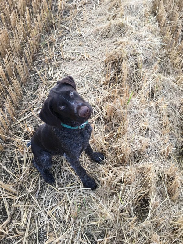 C72F9F27-A444-477E-8589-20D1706DB4B3