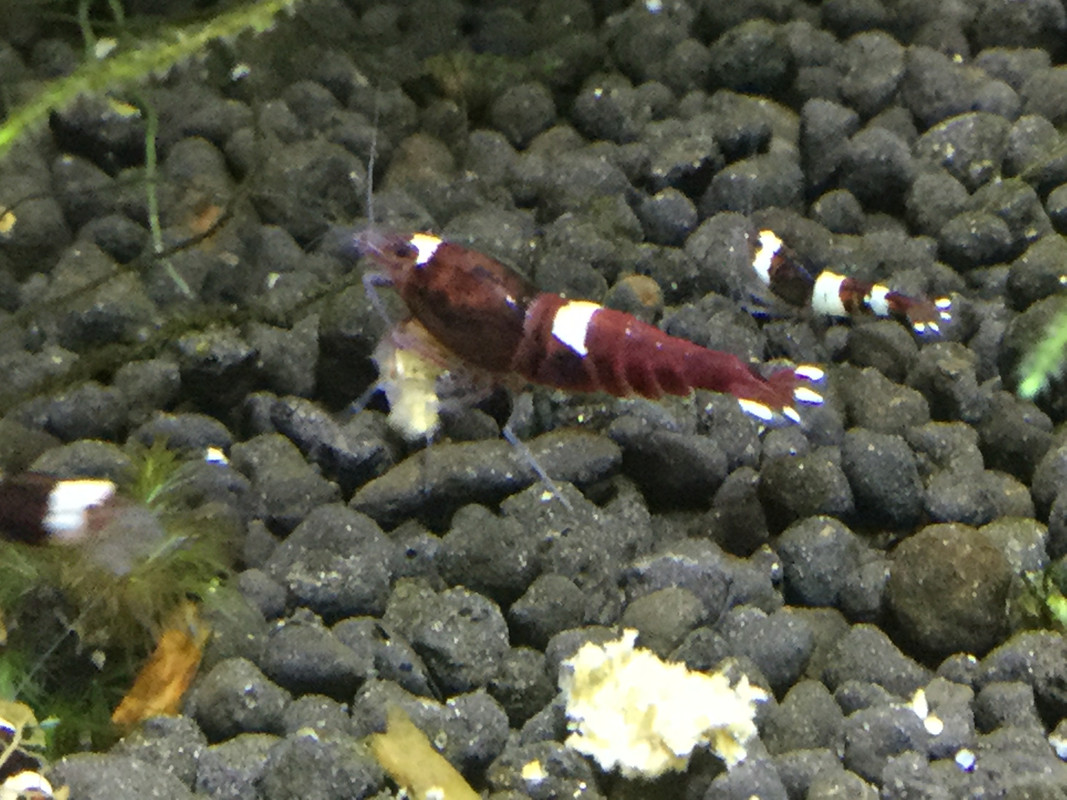 7FC342E4-5D37-4782-B900-5F08835BB258