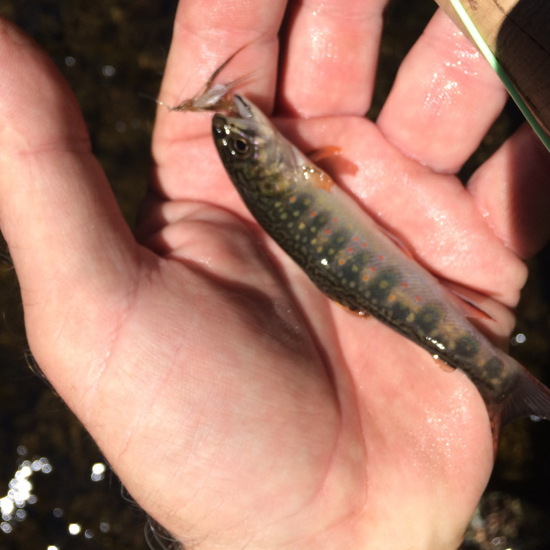 E1219415-583F-4E40-9256-AC409D8FDE56