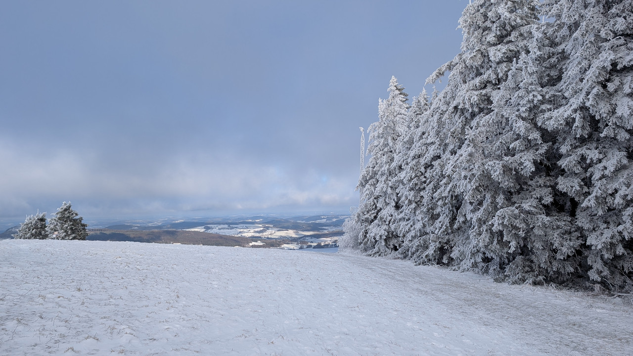 PXL_20250112_101227586.MP