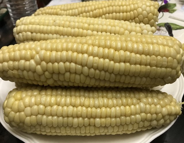 [Image: D057-E551-0-F6-C-4-D23-9-F39-352-E11-FA0-FCA.jpg]