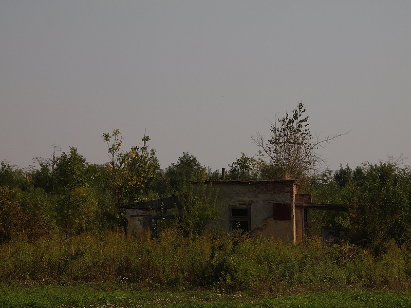 P8317388
