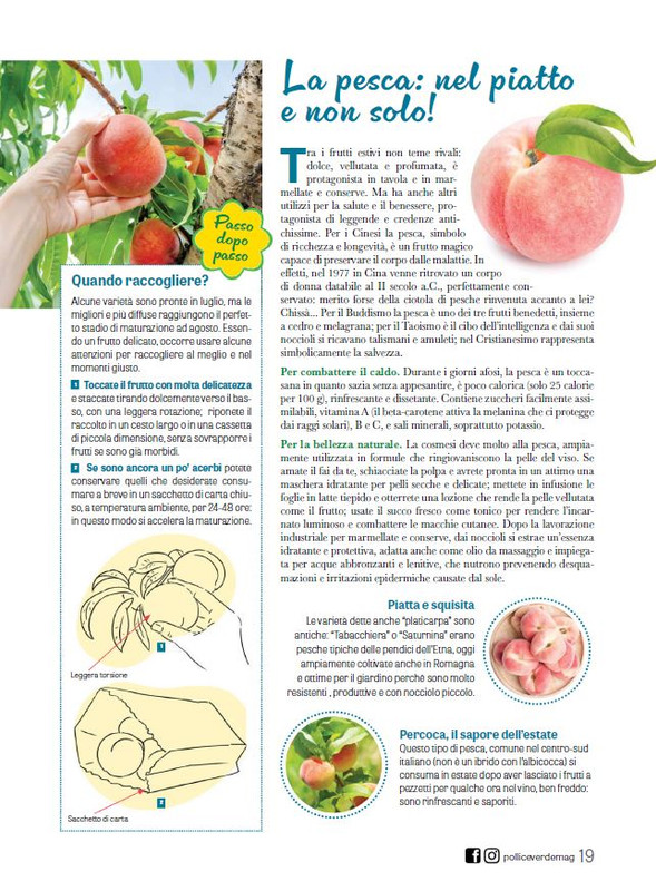 Pol Ver Ago 2024 (4)