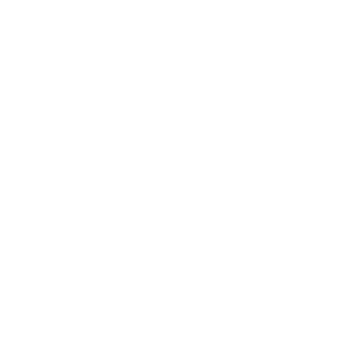 Local Customer Support Icon