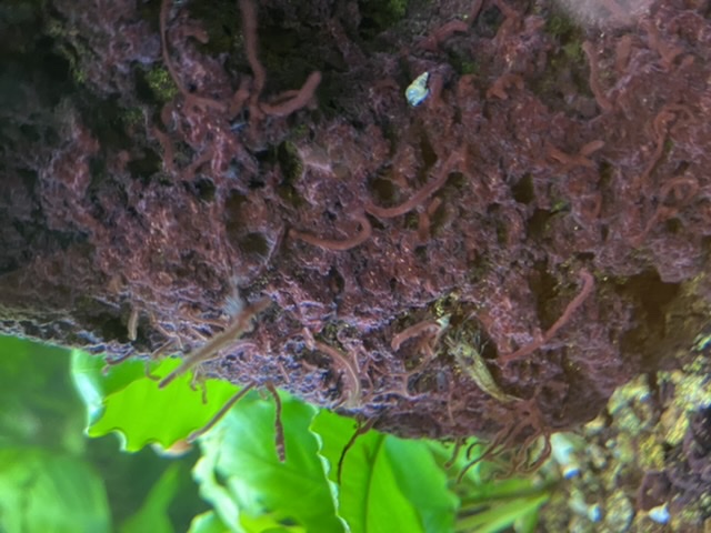 3A7914FD-1551-49C9-998D-A0C22DC581F2