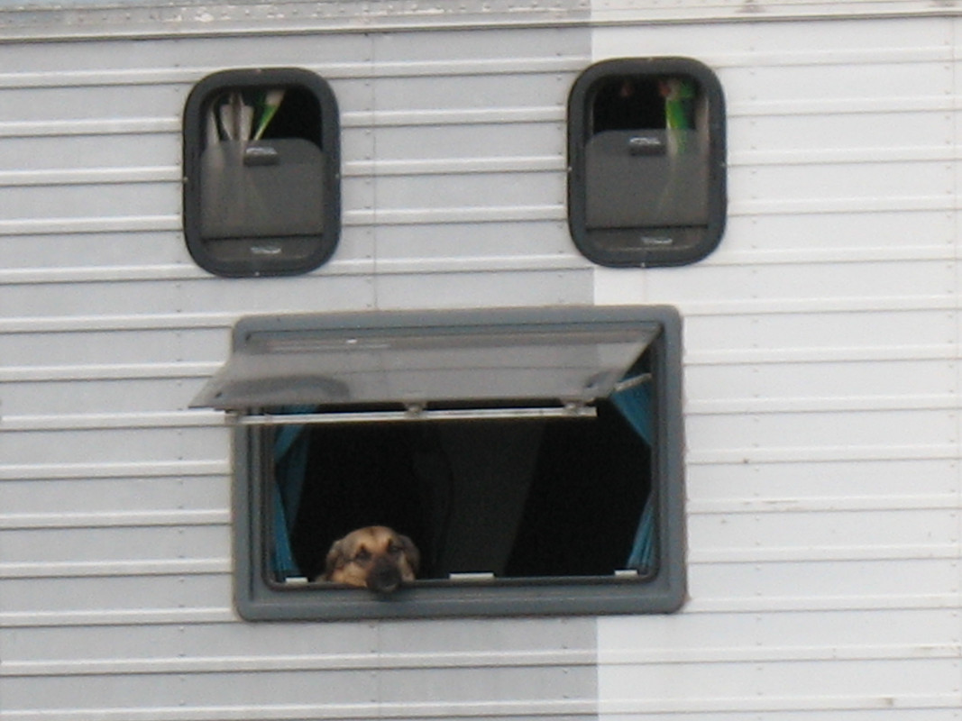 BulgariaTeknival 2016 (131)