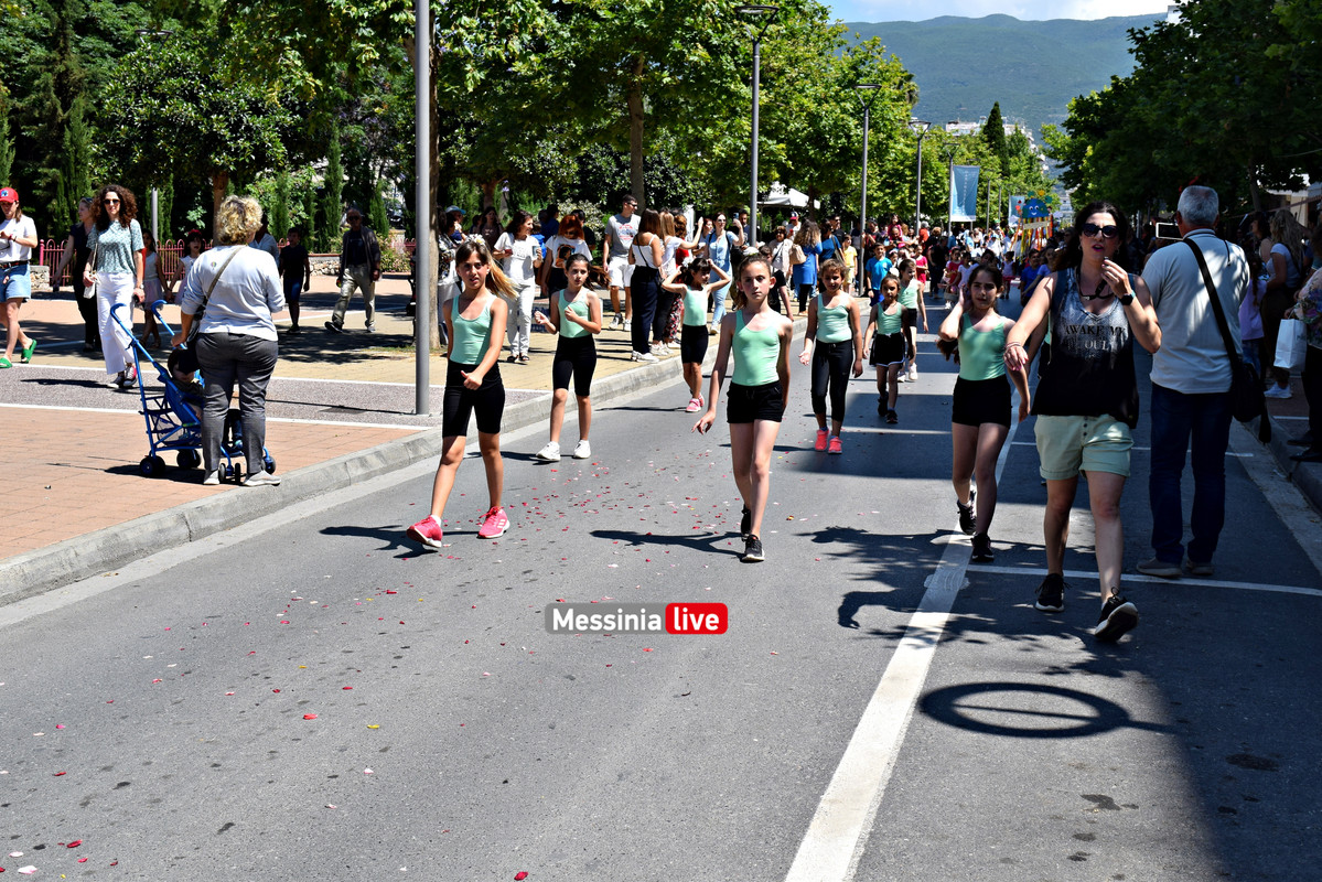 ΛΟΥΛΟΥΔΕΝΙΑ ΠΑΡΕΛΑΣΗ DSC_1489