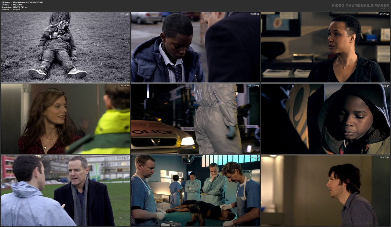 Silent Witness S12E02 Safe (2).mkv