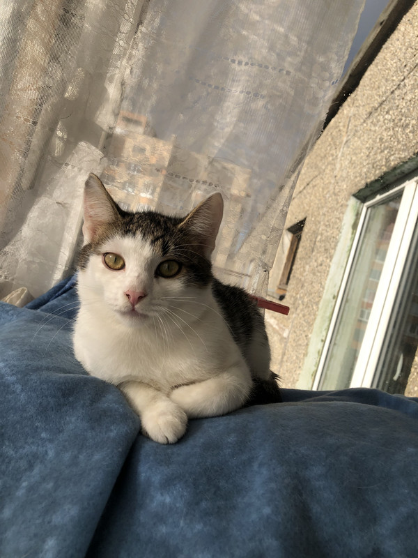 7CEC8EAB-A834-42F0-868B-C46A24BEE154