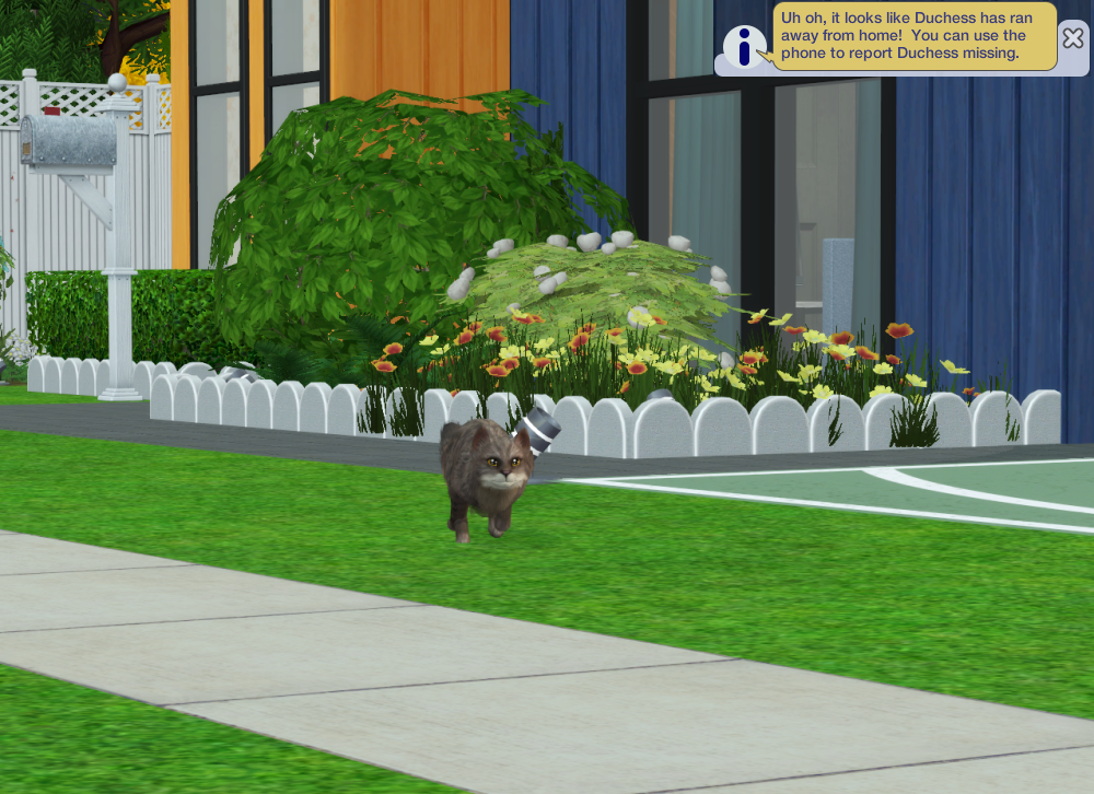 Sims2-EP9-RPC-2022-04-17-22-45-29-48