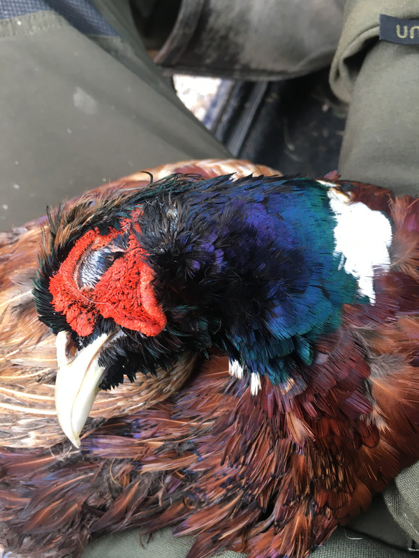 14D468E7-A166-4697-9500-747F8DEE8D70