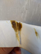 IMG_20191026_124248388