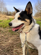 IMG_20230417_005412_900