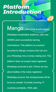 Mango AI Platform Introduction