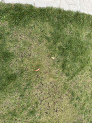 3804D469-BACF-487E-B5F8-30338658178D