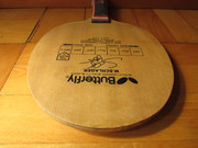 IMG-4936