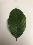 9284DF72-EFB8-4AD9-921D-34A47373E277