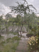 IMG-3423
